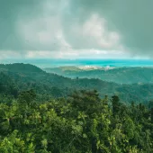 Puerto Rico Landscape